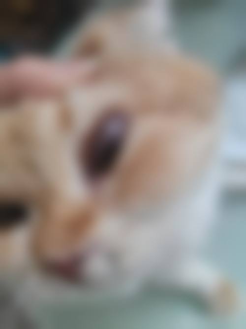 医生资质介绍