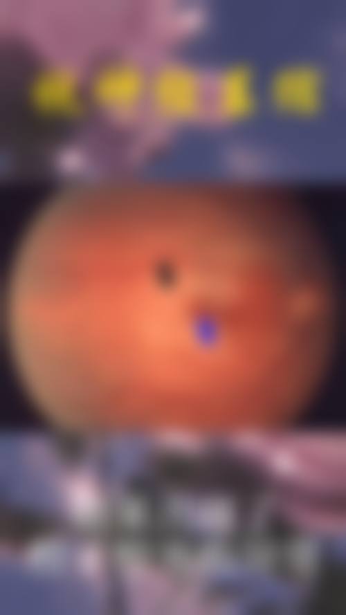 优惠活动详情