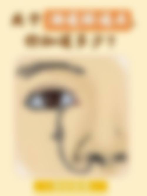 擅长项目详解