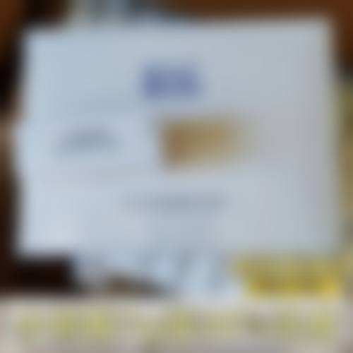 擅长项目详解