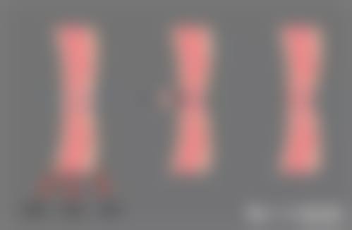 特色项目与服务:定制化方案,满足个性需求