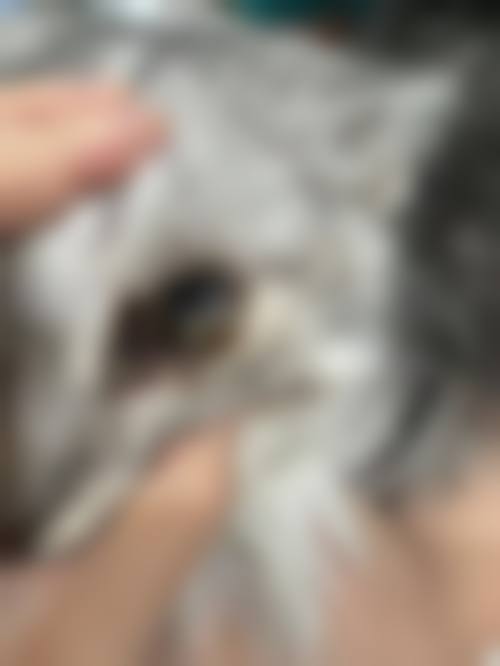 诊疗特色总结
