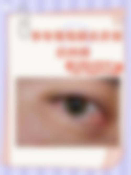 擅长项目详解