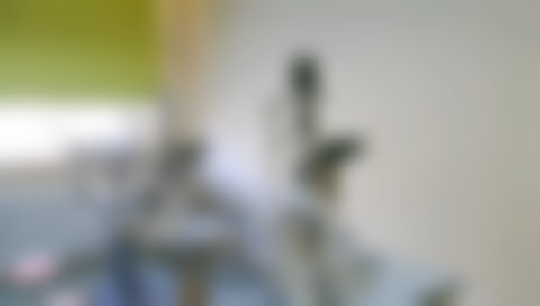 常见问题解答（FAQ）