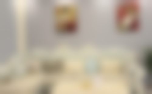擅长项目详解