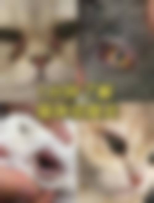 医生资质介绍