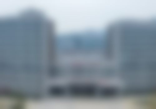擅长项目详解