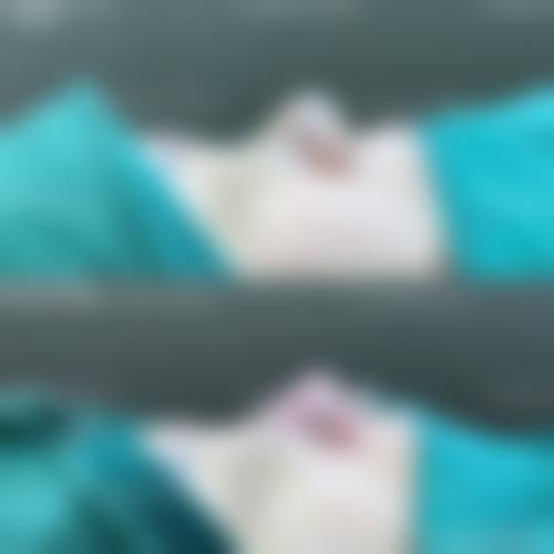 常见问题与预约方式