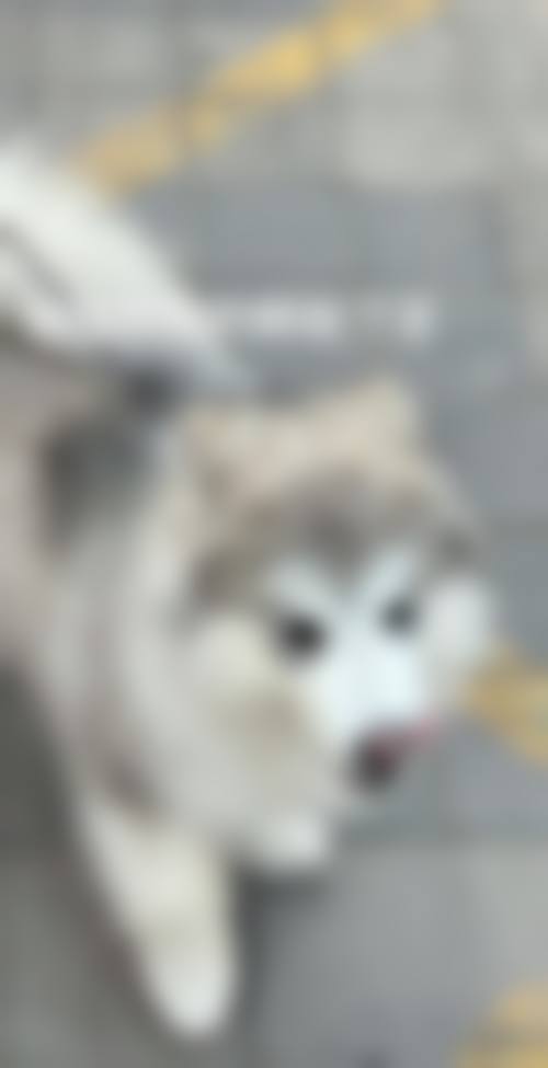 医院资质与实力