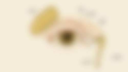 结尾预约号召