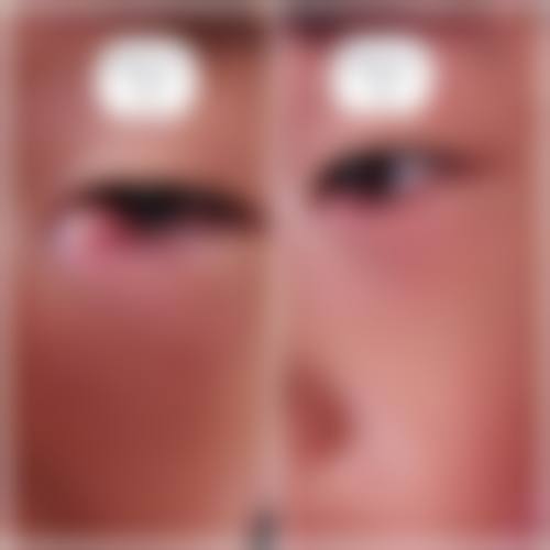 常见问题解答（FAQ）