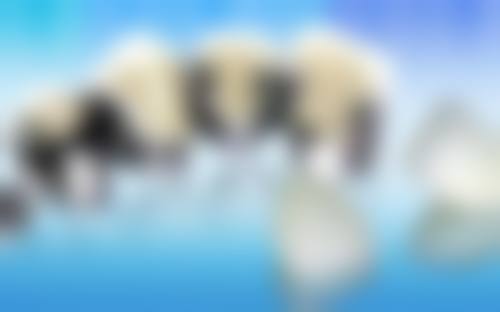 设备环境介绍：精良设备提升诊疗体验