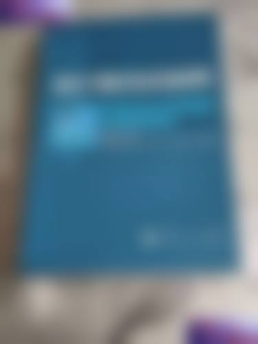 擅长项目详解