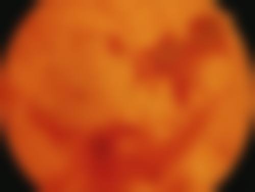 常见问题（FAQ）
