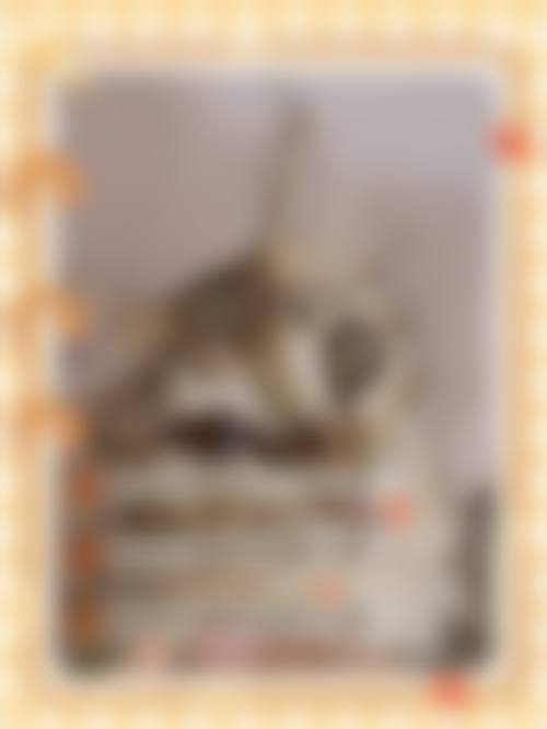 擅长项目详解