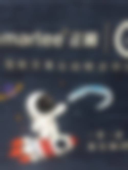 擅长项目详解