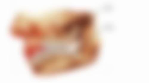 常见问题解答(FAQ)