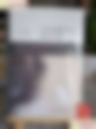 擅长项目详解