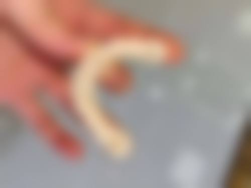 优惠活动详情