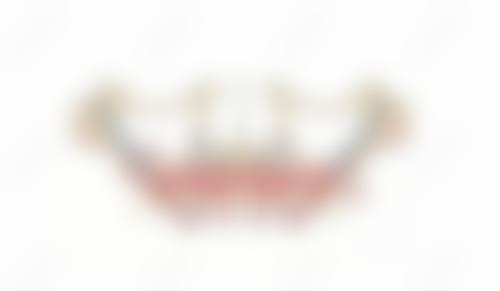 特色项目与核心优势