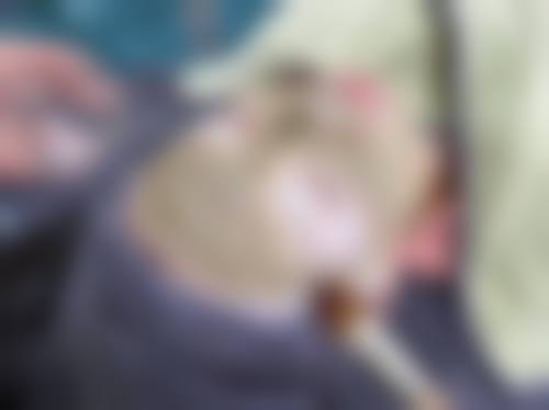 特色项目与个性化方案