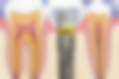 预约方式与路线
