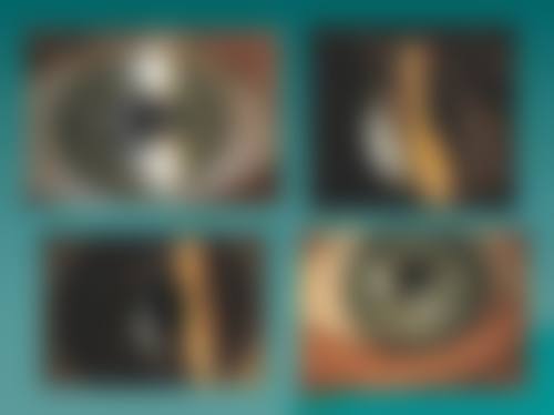常见问题解答(FAQ)