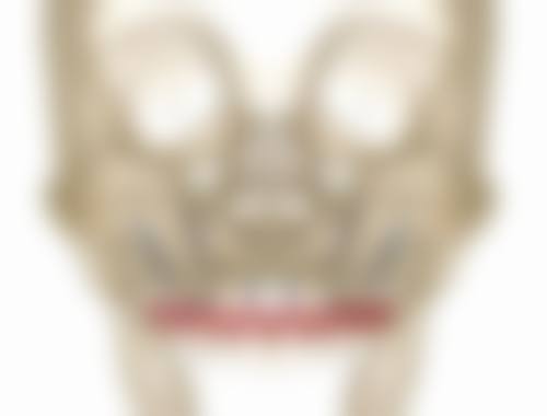 优惠活动详情