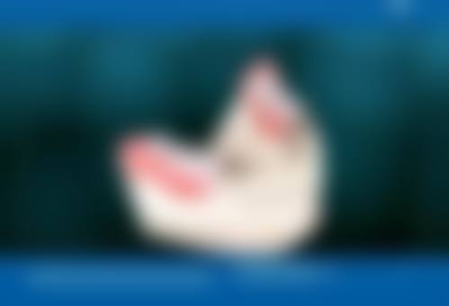 优惠活动详情与预约方式