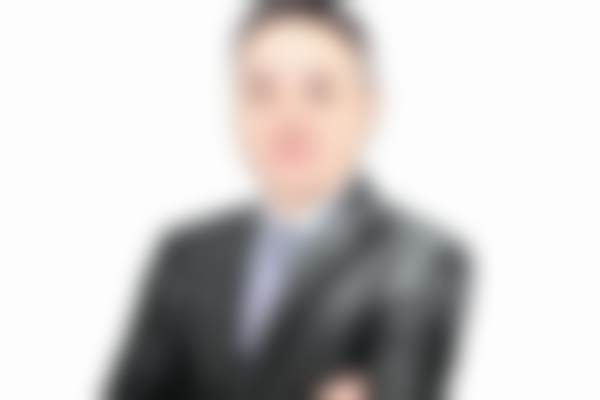 擅长项目详解