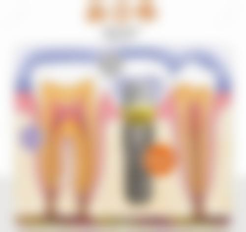 优惠活动详情与常见问题解答 (FAQ)
