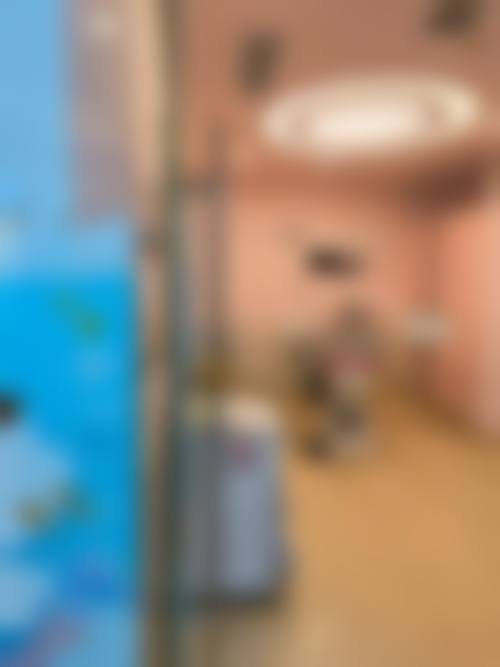 结尾预约号召