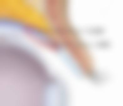 医生资质介绍