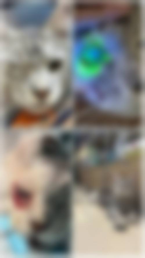 预约优惠活动